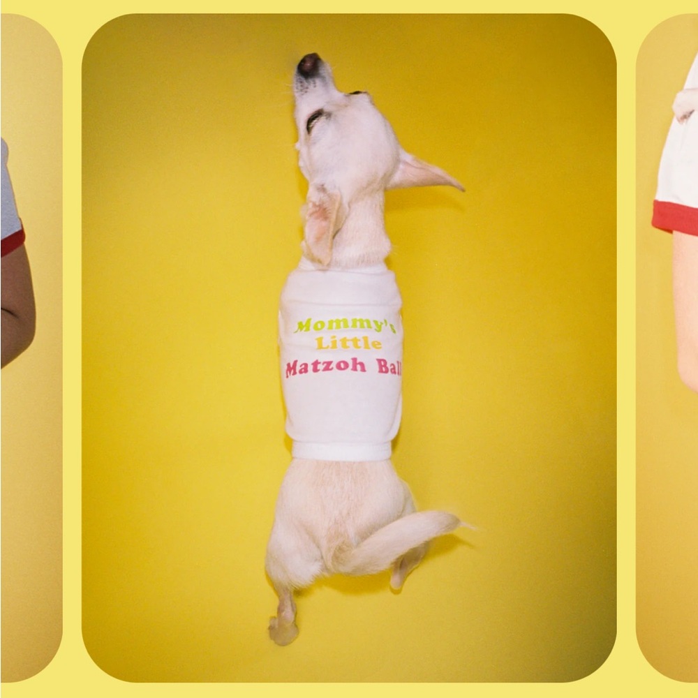 Daddy’s Little Matzoh Ball Dog Shirt
